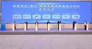 �����쳤���ǵ��̽��׻���н�ǧ���̻�������������